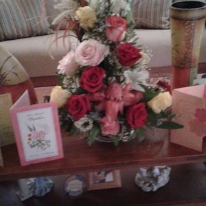 Meet your Posher, Ana